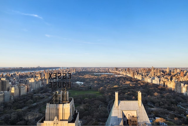 aerial view with a city view