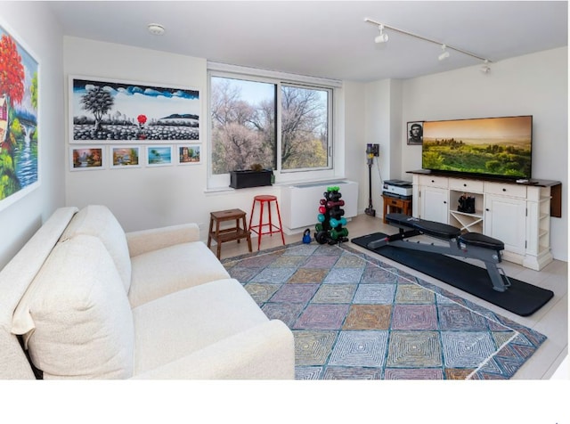 living room featuring track lighting