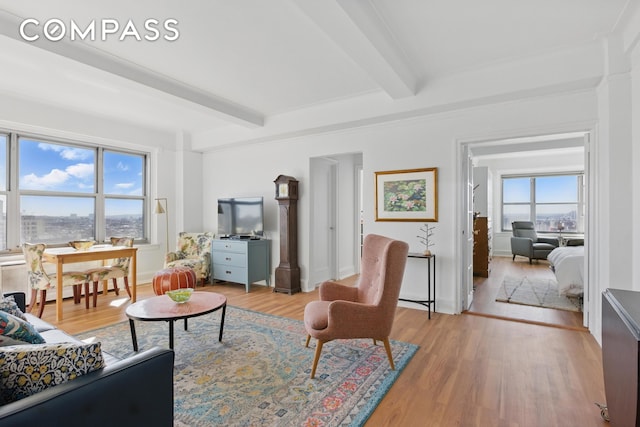 1 Plaza St W Unit 12C, New York City, NY 11217 - living area featuring beam ceiling and light wood-style flooring