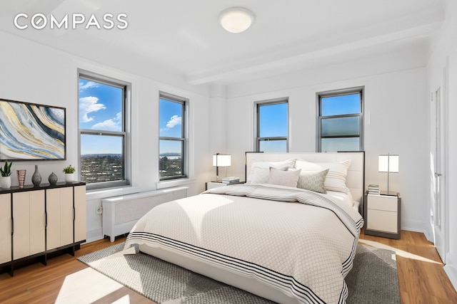 1 Plaza St W Unit 12C, New York City, NY 11217 - bedroom featuring radiator, multiple windows, and light wood-type flooring