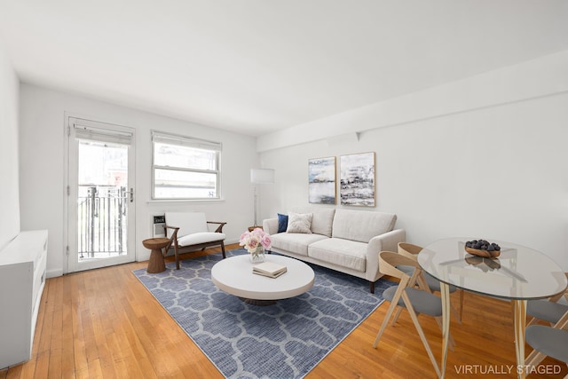 211 Thompson St Unit Lb, New York City, NY 10012 - living room featuring light wood-type flooring