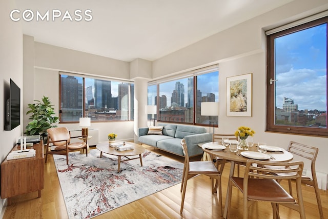 393 W 49th St Unit 6G, New York City, NY 10019 - living room featuring a skyline view and wood finished floors