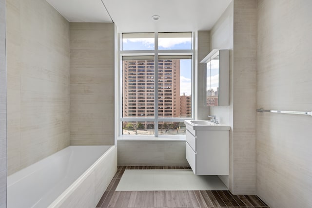 bathroom with vanity and a bathing tub