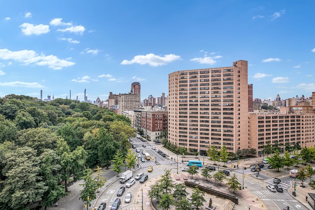 285 W 110th St Unit 5G, New York City, NY 10026 - skyline view