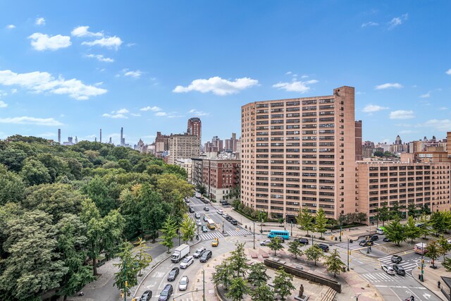 285 W 110th St Unit 5G, New York City, NY 10026 - view of city skyline