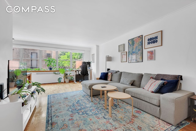 251 E 32nd St Unit 2A, New York City, NY 10016 - living area featuring radiator and wood finished floors