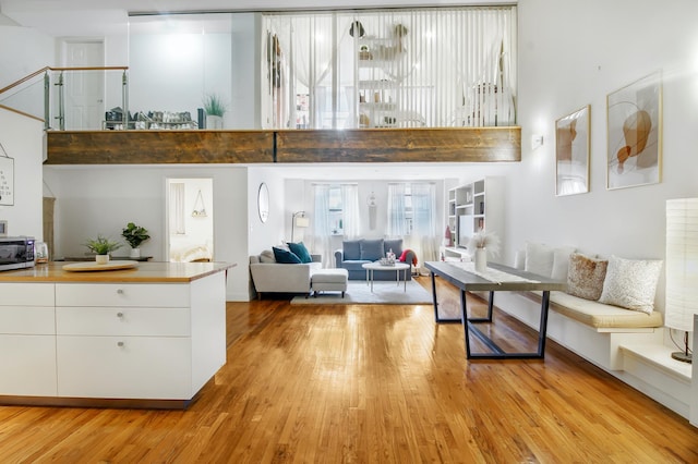 259 21st St Unit 1-C, New York City, NY 11215 - living area with a towering ceiling and light wood finished floors