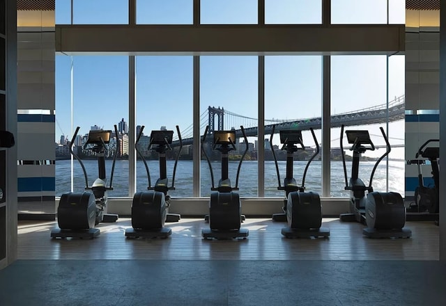 gym featuring a water view and wood finished floors