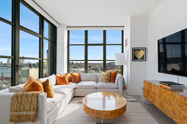 180 Front St Unit 17-E, New York City, NY 11201 - living room with plenty of natural light, expansive windows, a water view, and wood finished floors
