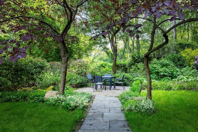 2727 Palisade Ave Unit 14-A, New York City, NY 10463 - view of green lawn featuring a patio area