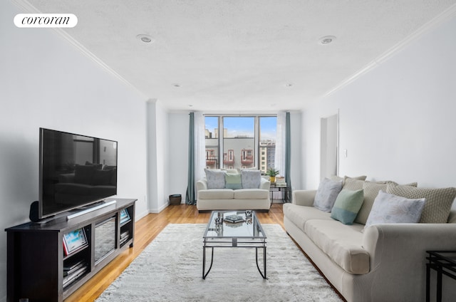 330 Lenox Rd Unit 6F, New York City, NY 11226 - living area featuring ornamental molding, light wood-style floors, and baseboards