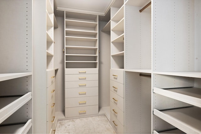 545 W 110th St Unit 6Eg, New York City, NY 10025 - view of walk in closet