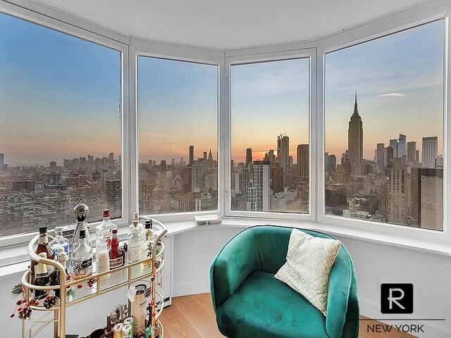 sitting room featuring a skyline view and wood finished floors