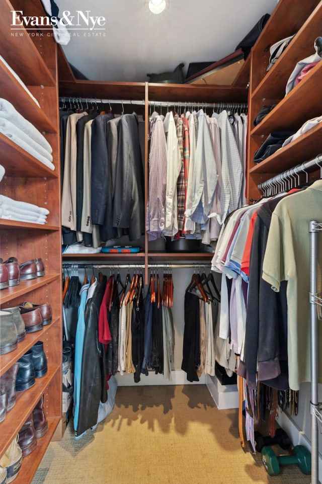 view of spacious closet