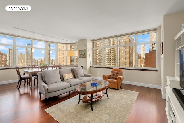living room featuring a skyline view, track lighting, baseboards, and dark wood-style flooring