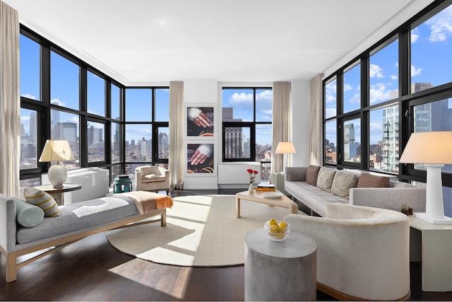 105 Norfolk St Unit Tower15, New York City, NY 10002 - living room featuring a view of skyline, a wall of windows, and wood finished floors