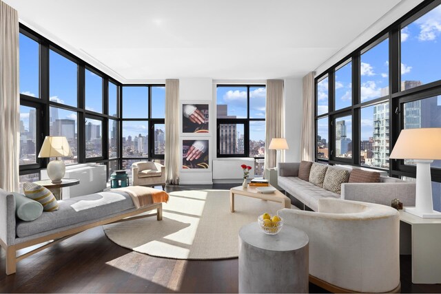 105 Norfolk St Unit Tower15, New York City, NY 10002 - living room with a view of skyline, floor to ceiling windows, and wood finished floors