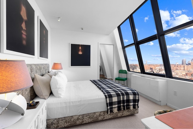 105 Norfolk St Unit Tower15, New York City, NY 10002 - view of carpeted bedroom