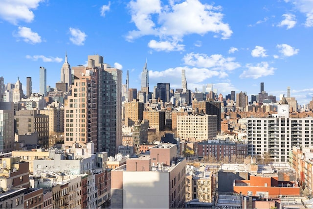 105 Norfolk St Unit Tower15, New York City, NY 10002 - view of city
