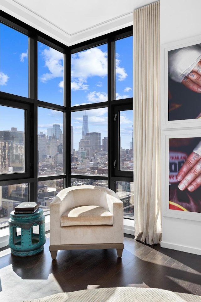 105 Norfolk St Unit Tower15, New York City, NY 10002 - sitting room with a wall of windows, a skyline view, and dark wood-style flooring