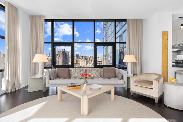 105 Norfolk St Unit Tower15, New York City, NY 10002 - living area featuring a skyline view, wood finished floors, and a wall of windows