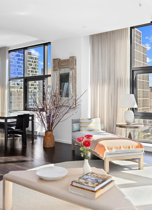 105 Norfolk St Unit Tower15, New York City, NY 10002 - living room featuring wood finished floors, floor to ceiling windows, a fireplace, and baseboards