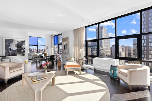 105 Norfolk St Unit Tower15, New York City, NY 10002 - living room with wood finished floors, floor to ceiling windows, and a city view