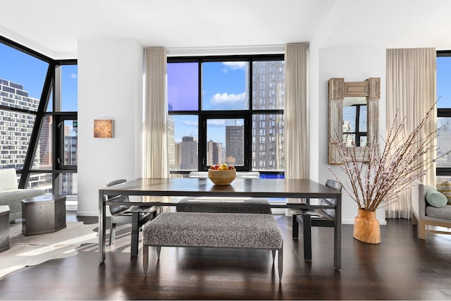 105 Norfolk St Unit Tower15, New York City, NY 10002 - dining space featuring floor to ceiling windows, wood finished floors, a city view, and baseboards