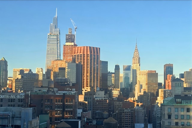 121 E 23rd St Phd, Phd, New York City, NY 10010 - view of city skyline