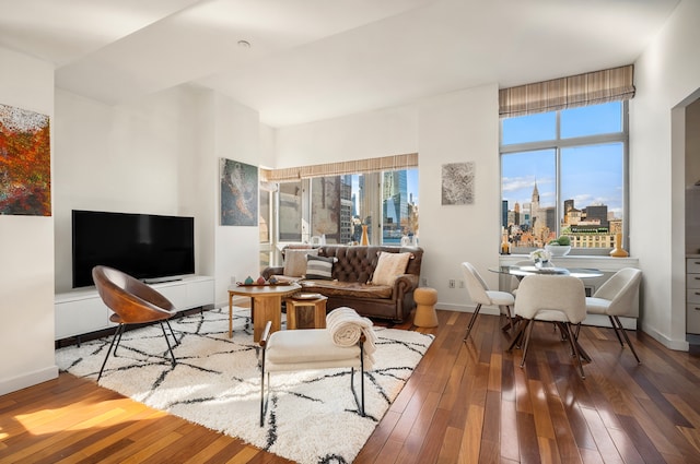 121 E 23rd St Phd, Phd, New York City, NY 10010 - living area with wood-type flooring, a skyline view, and plenty of natural light
