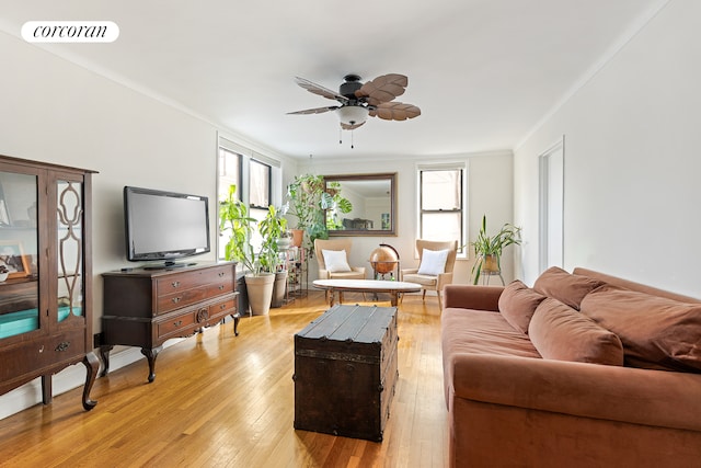 living room featuring light wood finished floors and ceiling fan