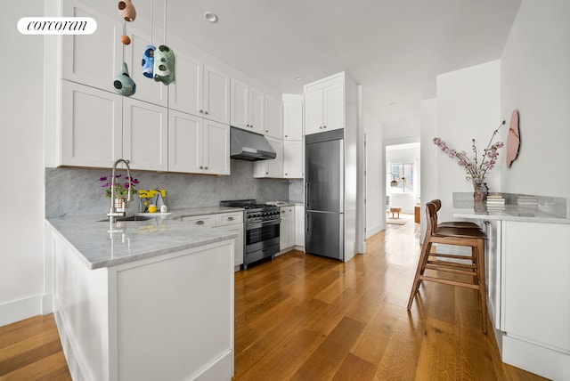kitchen featuring a peninsula, a sink, light wood-type flooring, high end appliances, and under cabinet range hood