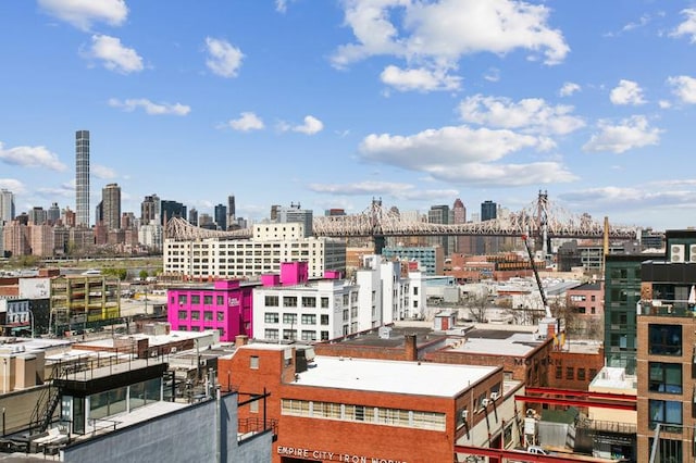 10-55 47th Ave Unit 5-E, New York City, NY 11101 - skyline view