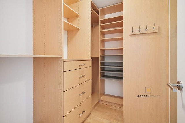 10-55 47th Ave Unit 5-E, New York City, NY 11101 - walk in closet with light wood-style flooring