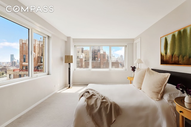 carpeted bedroom featuring a city view and baseboards