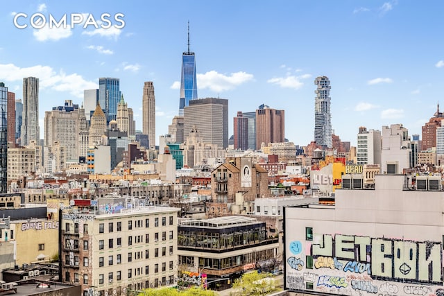 105 Norfolk St Unit 10A, New York City, NY 10002 - skyline view