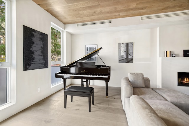 432 Fenimore St, New York City, NY 11225 - living area with wood ceiling and a warm lit fireplace