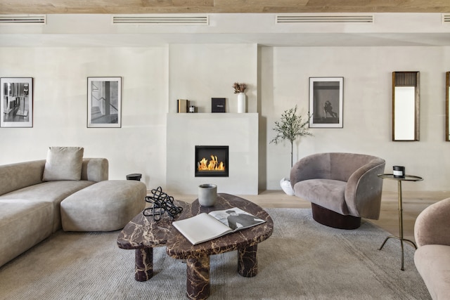 432 Fenimore St, New York City, NY 11225 - living room with a lit fireplace