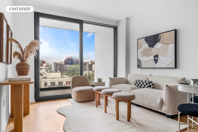 14-35 Broadway Unit 3A, New York City, NY 11106 - living area with wood finished floors, a view of city, and plenty of natural light