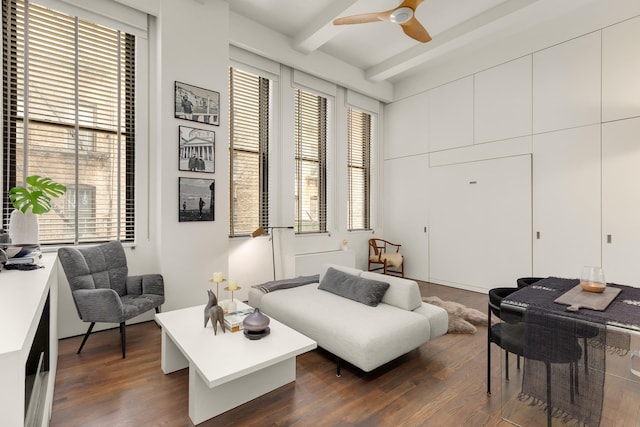 living area featuring a ceiling fan, beam ceiling, and dark wood finished floors