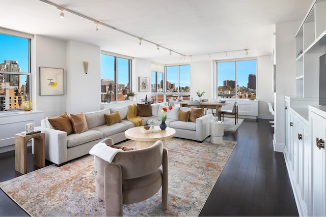 living room with rail lighting, a skyline view, healthy amount of natural light, and dark wood finished floors
