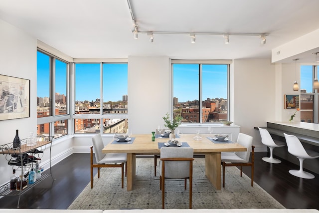 301 W 118th St Unit Ph2A, New York City, NY 10026 - dining space featuring wood finished floors, rail lighting, a view of skyline, and healthy amount of natural light