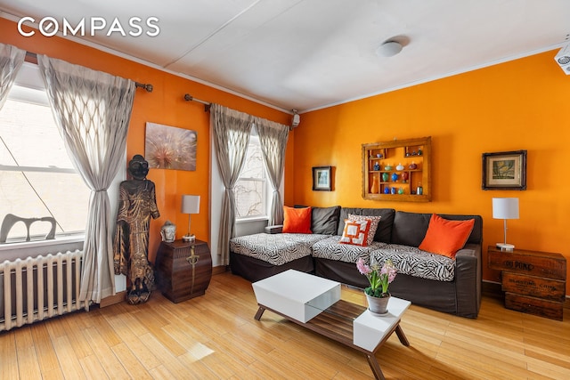 living room featuring radiator heating unit, crown molding, and wood finished floors