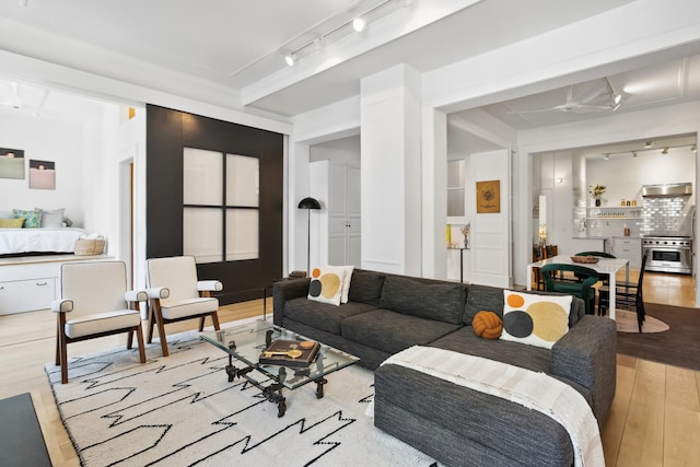 living room featuring rail lighting and hardwood / wood-style floors
