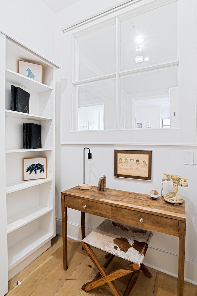 office featuring light wood-type flooring
