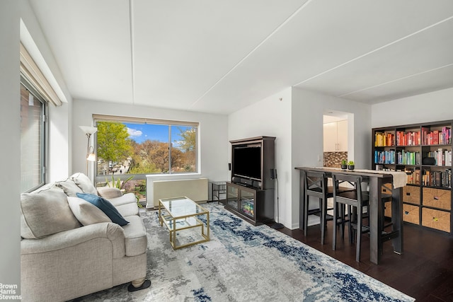 330 W 145th St Unit 505, New York City, NY 10039 - living room with wood finished floors