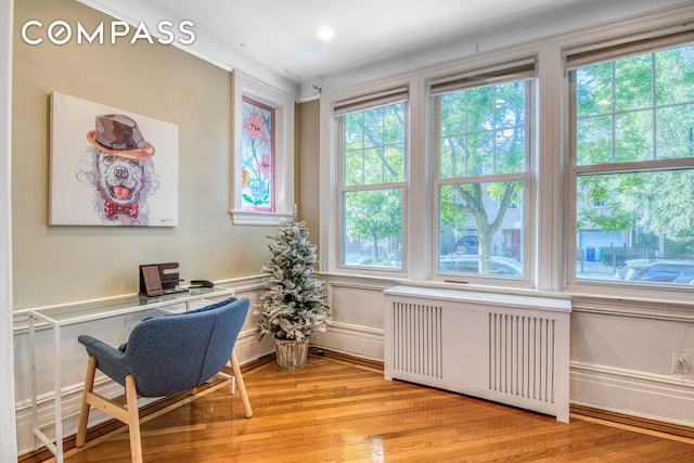 232 Maple St, New York City, NY 11225 - office space with radiator and light wood-style floors