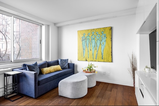 living area featuring baseboards and wood finished floors