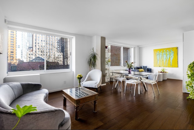 living room featuring baseboards and wood finished floors