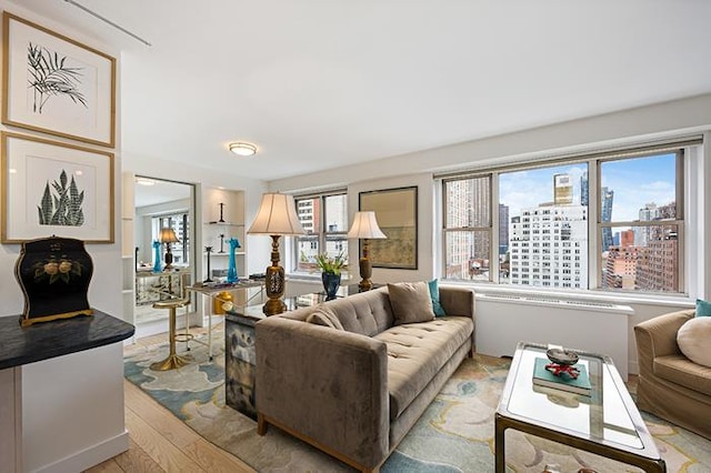 137 E 36th St Unit 11-B, New York City, NY 10016 - living area featuring light wood-type flooring, radiator, and a city view